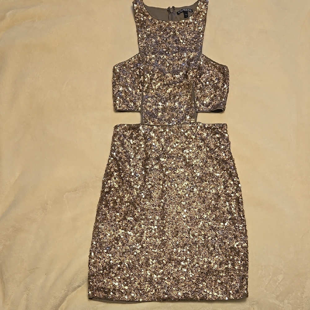 Elegant Bronze Sequin Dress